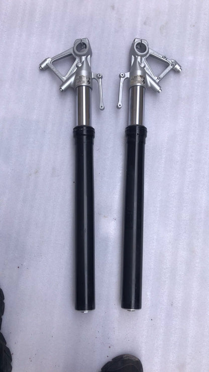 BMW S1000R fork leg pair, front view showing both chrome stanchions and lower legs standing upright