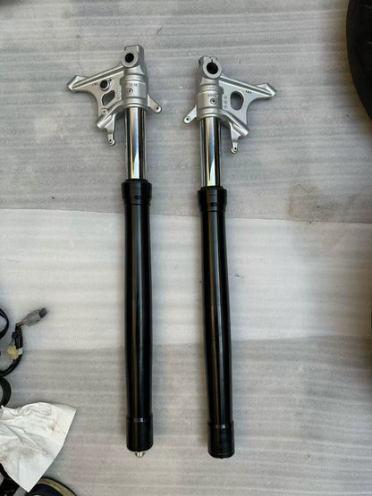 Aprilia Tuono 660 front fork rods pair, straight chrome steel shafts shown side by side, full length view