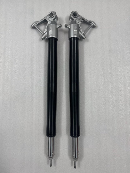 BMW R1200GS fork rod pair, angled view showing both rods parallel, smooth straight shafts