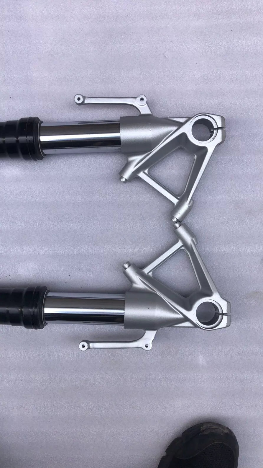 BMW S1000R fork leg pair overhead flat-lay showing matched left and right legs side by side