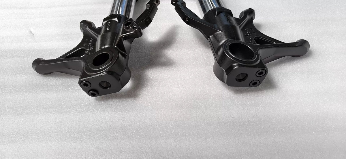 Ducati Panigale V2 front fork complete assembly, leaning upright, full view showing overall condition