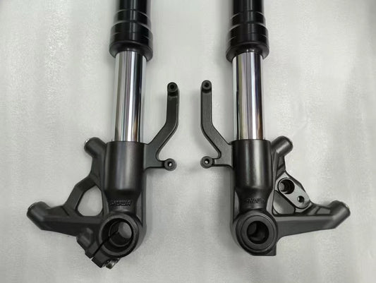 Kawasaki Z1000 front forks 2014-2025