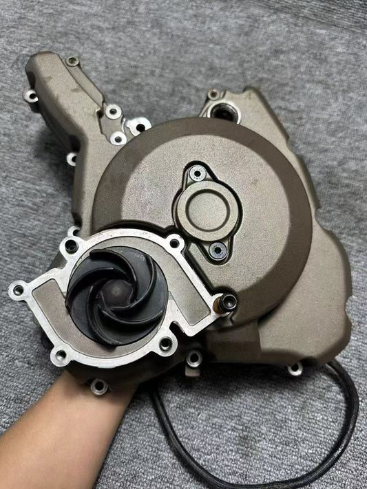 15-18 Ducati 821 Monster Pump Cover Side Cover