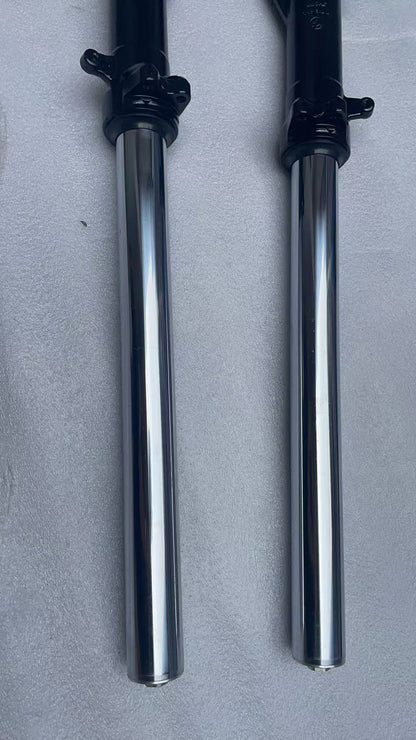 Premium OEM BMW F800R Front Fork Pair 2009-2014 | Conventional Repainted
