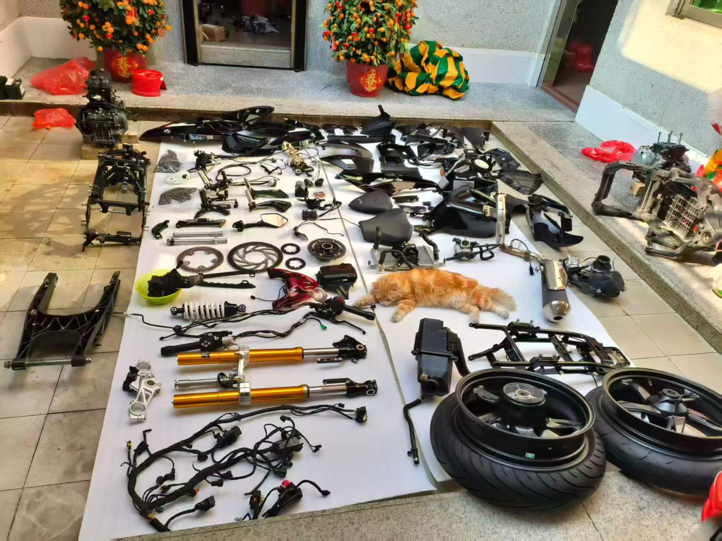 Complete Disassembled Engine & Bodywork Components - BMW G310RR (2025) - Ultra Low Mileage | OEM R109 Kit