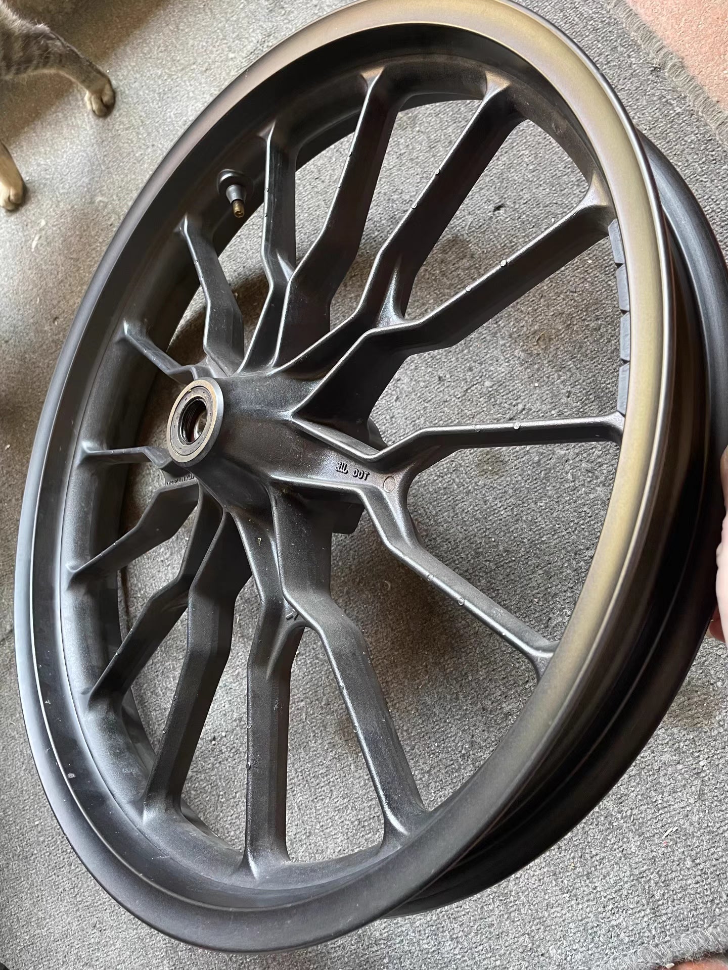 Genuine OEM Front Wheel Rim (19-Inch) - Honda CB500X (2019-2024) | Grade A Condition & Verified Straight #44650-MKP-J80