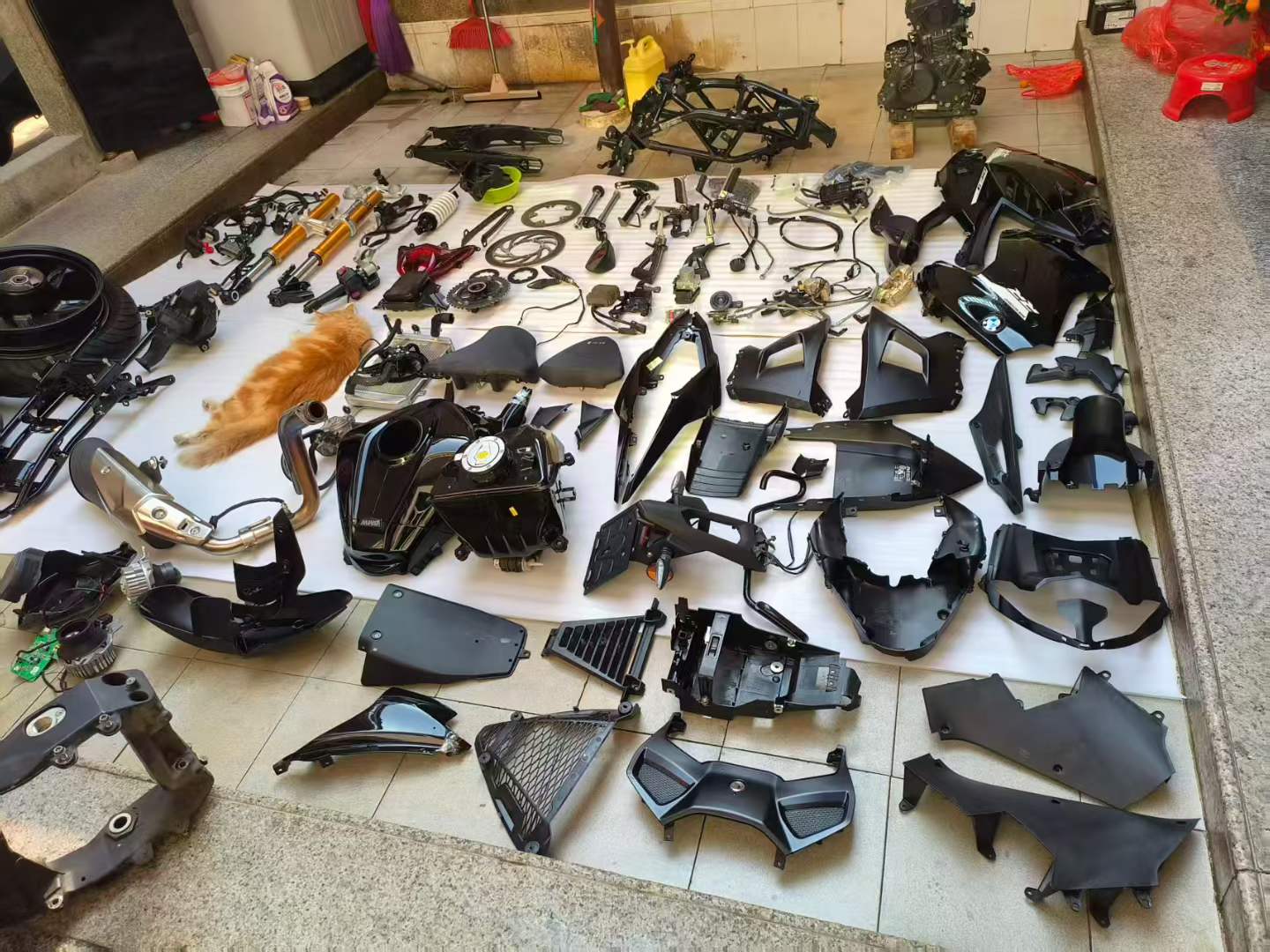 Complete Disassembled Engine & Bodywork Components - BMW G310RR (2025) - Ultra Low Mileage | OEM R109 Kit