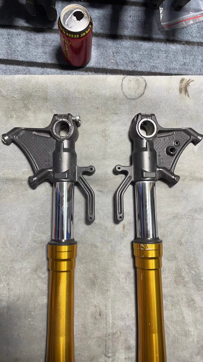 Kawasaki ZX-10R Inner Fork Stanchion Condition - High Polish Chrome Finish