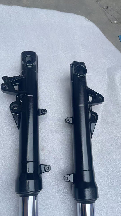 Premium OEM BMW F800R Front Fork Pair 2009-2014 | Conventional Repainted